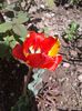 2013-04-25 14.09.35