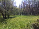 Gradina botanica