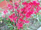 DSCN0338