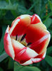 051