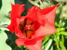 080