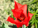 081