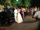images (14)