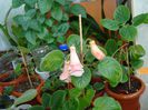 DSC06611