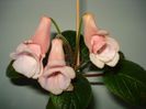 DSC06620