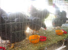 DSCN0397