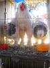 DSCN0407