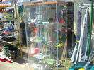 DSCN0484