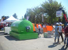 DSCN0491