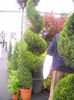 DSCN0515