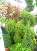 DSCN0516