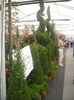 DSCN0517