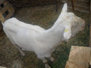 DSCN0447