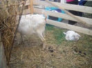 DSCN0449