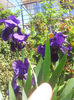 2013-04-27 13.03.15