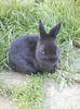 P27-04-13_19.50[01]