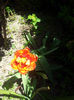 2013-04-27 13.07.52