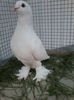 P27-04-13_19.38[01]