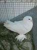 P27-04-13_19.39[01]