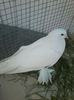 P27-04-13_19.39[02]