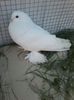 P27-04-13_19.40[01]