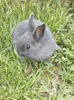P27-04-13_19.48[01]