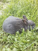 P27-04-13_19.48[02]