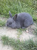 P27-04-13_19.49[02]