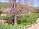 Fotogr.1028