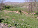 Fotogr.1029