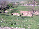 niste vacute