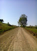 Fotogr.1033