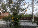 P270413_19.13_[01]