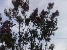 P270413_19.13_[03]