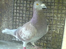 DSC00565