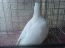 DSC00614