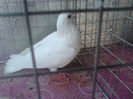 DSC00616