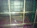 DSC00624