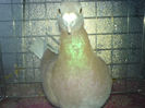 DSC00626
