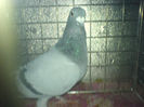 DSC00639