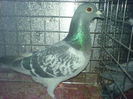 DSC00641
