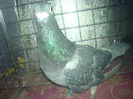 DSC00647