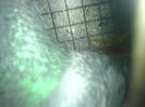 DSC00652
