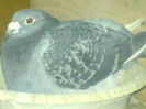 DSC00669
