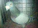 DSC00680