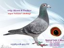 05583-08-423_DV