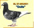 dolle_geel