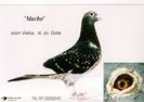martha-8