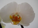 DSCN4233