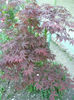 P1160737